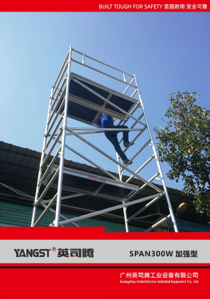 300W工业级加强型（欧洲款）